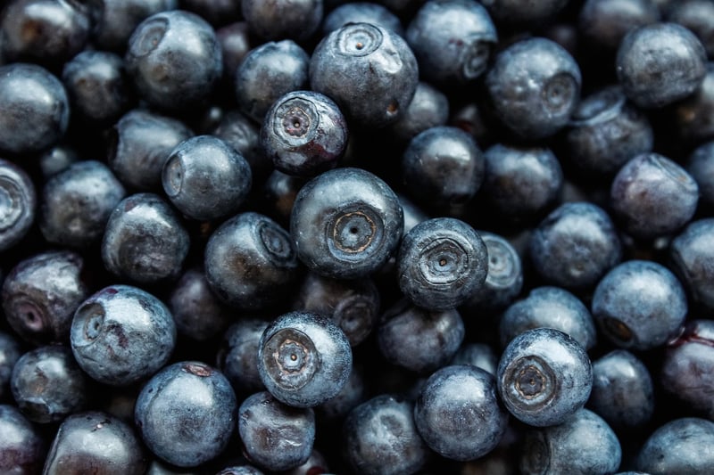 Woodland Berry Desserts